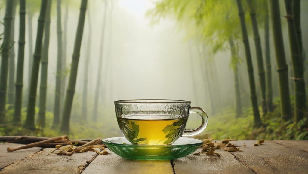 Sencha and Gyokuro: The Ultimate Battle of Green Teas You Need to Know