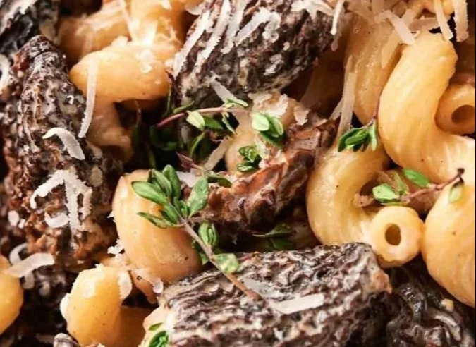 Creamy Morel Mushroom Pasta