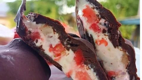 Chocolate Coated Strawberry Yogurt Bites